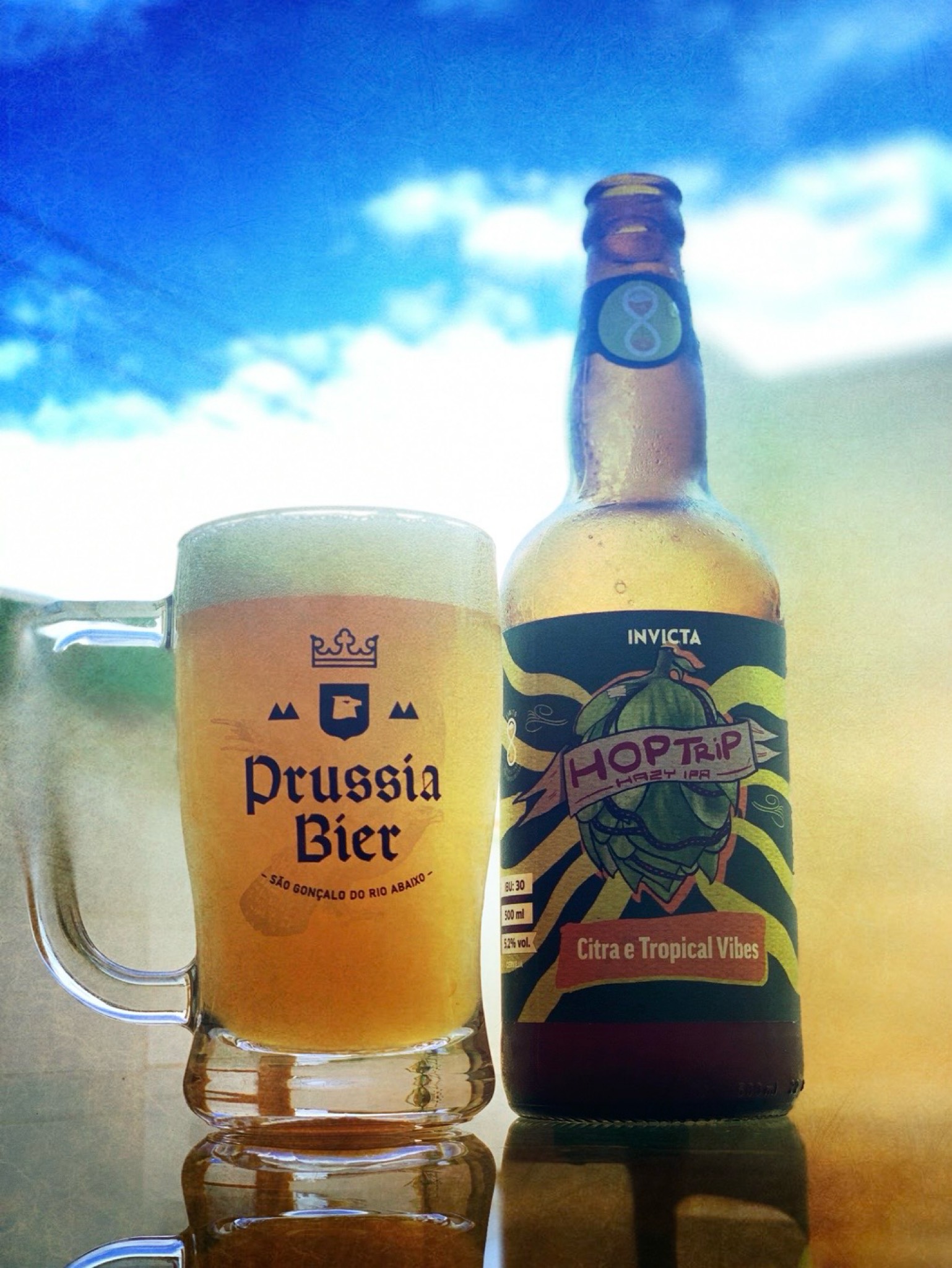 HOP TRIP HAZY IPA CITRA E TROPICAL VIBES, Brazil