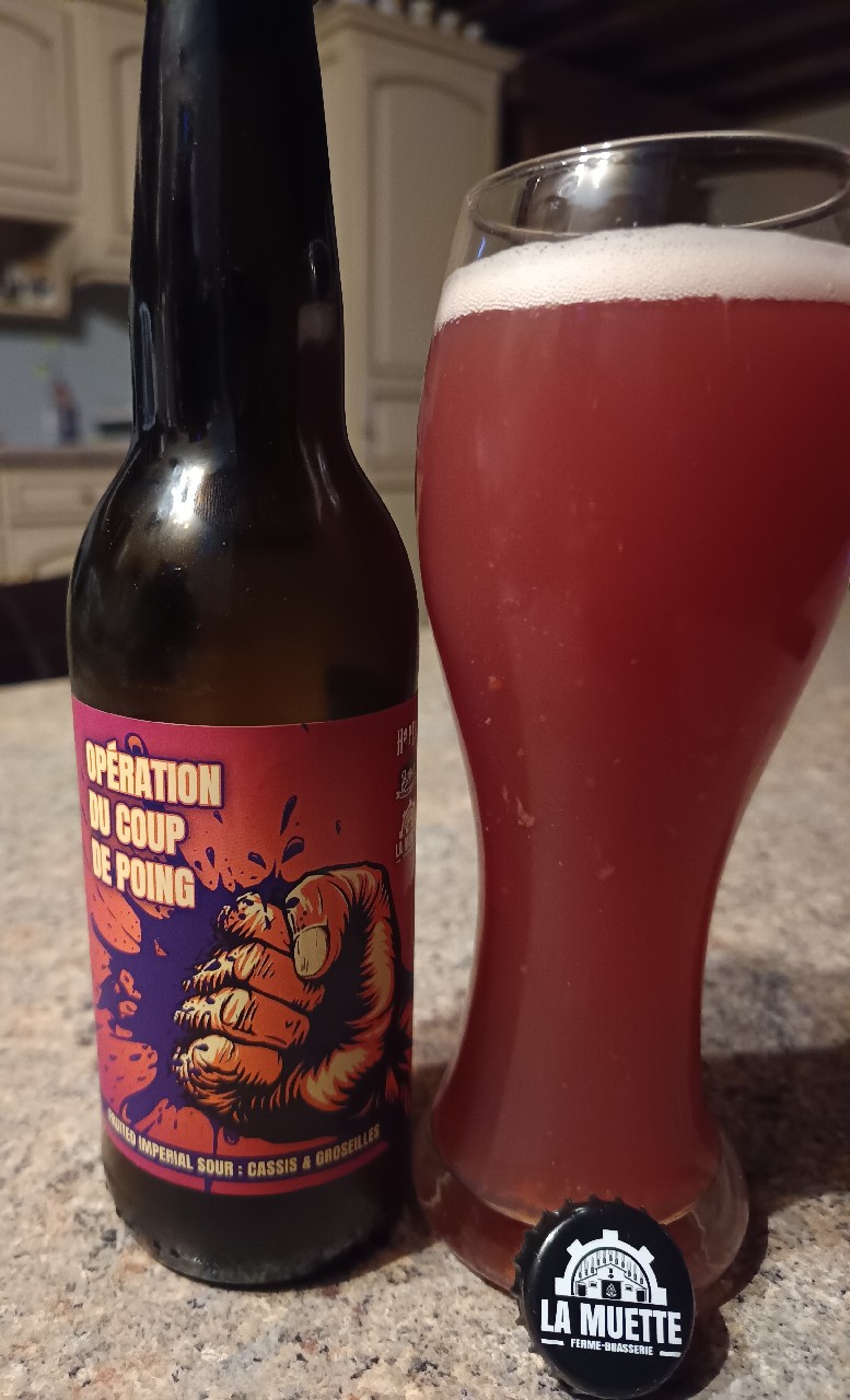 Opération Du Coup De Poing, France