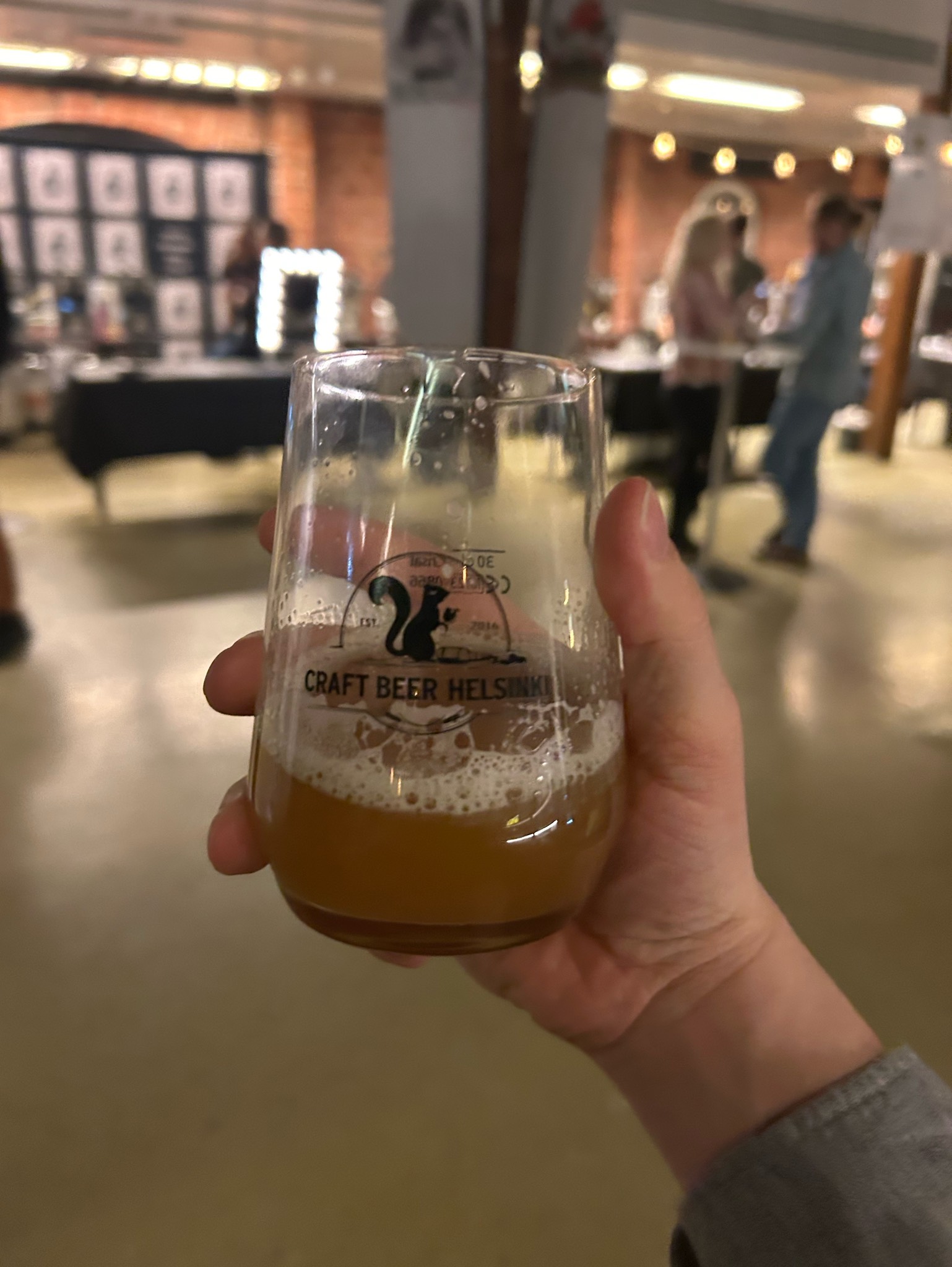 NEDIPA 2025, Finland