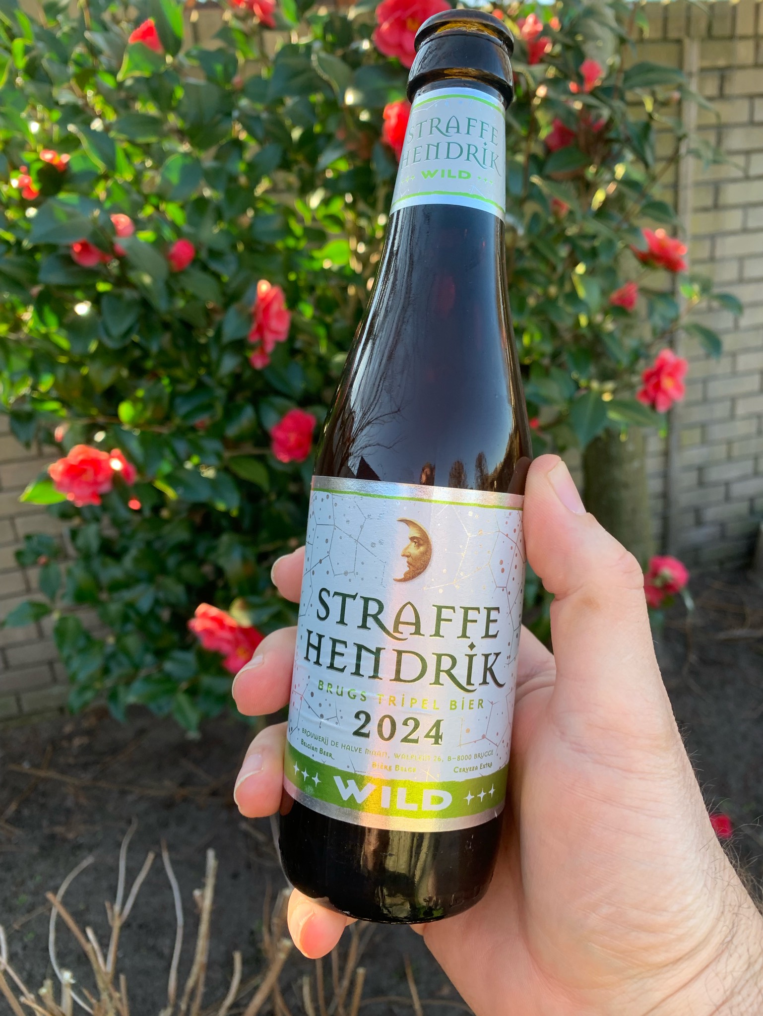 Straffe Hendrik Brugs Tripel Bier Wild (2017), Belgium