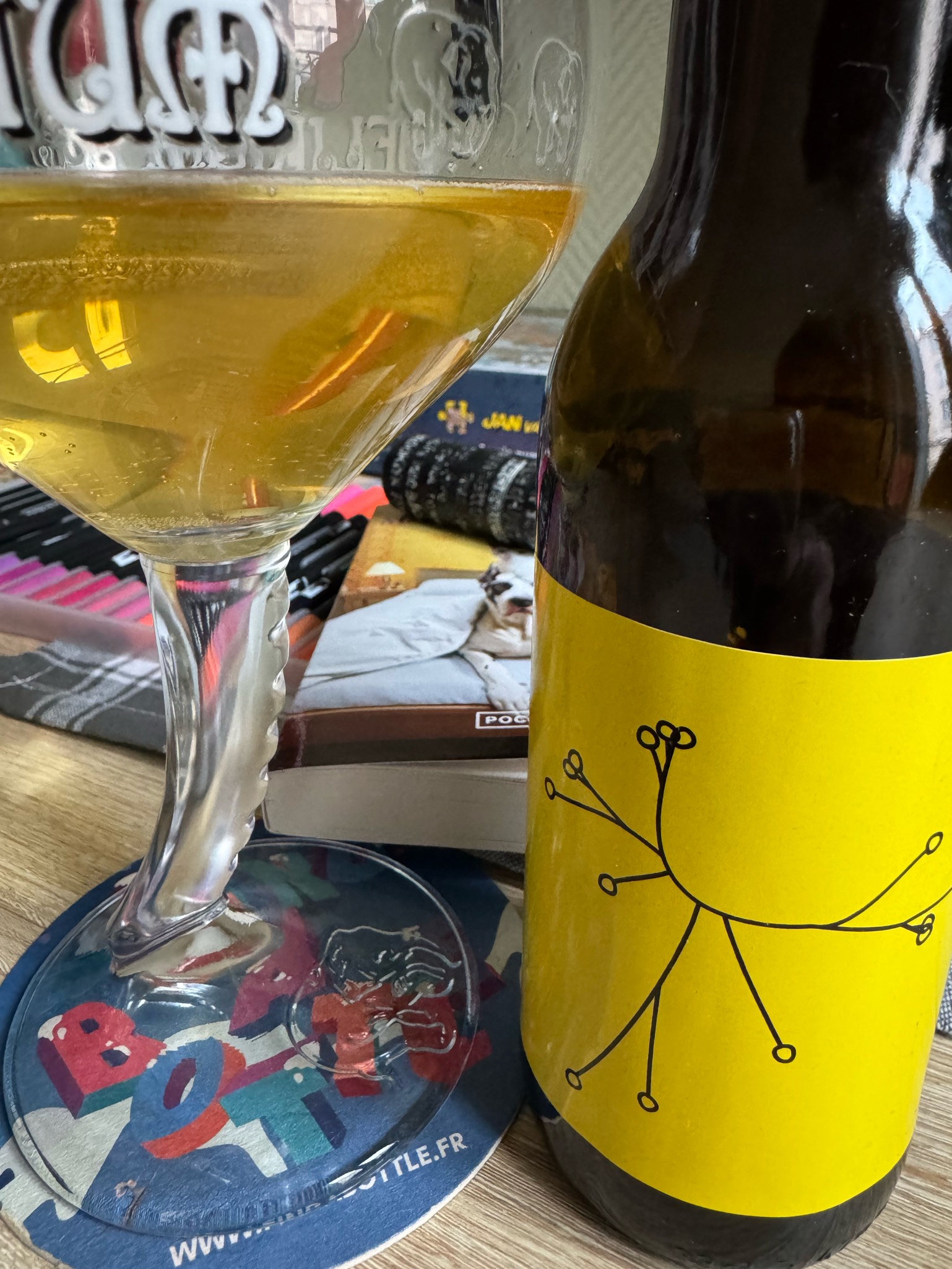 Saison Yuzu 2024, France