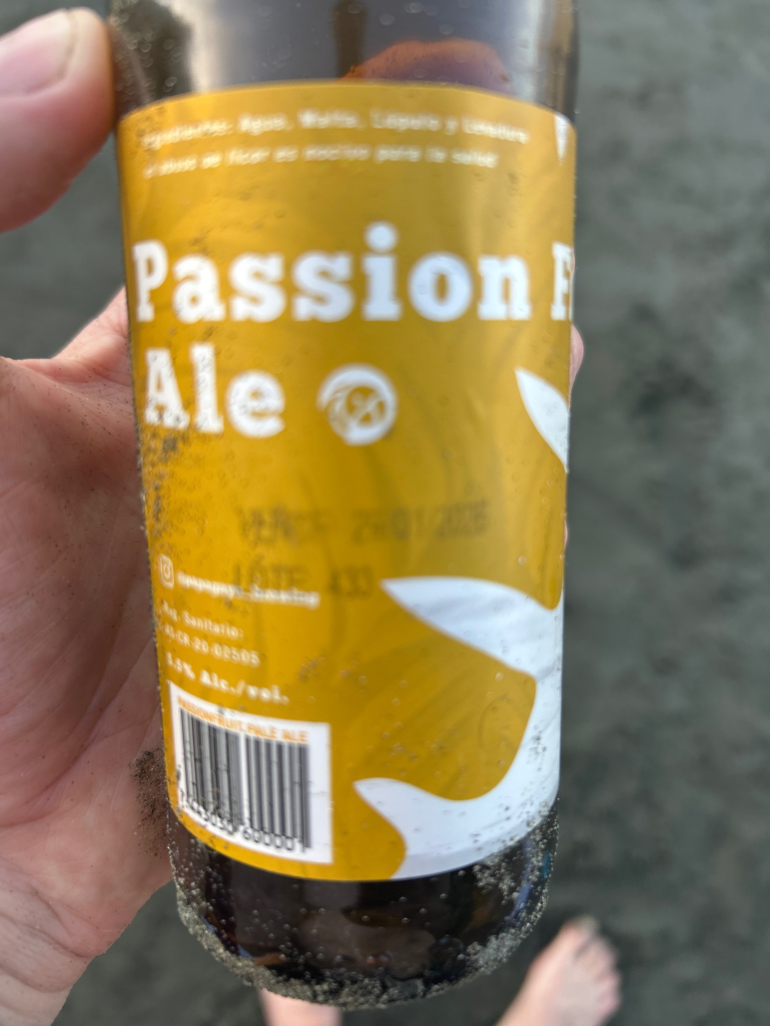 Passion Fruit Ale, Papagayo Brewing Co.
