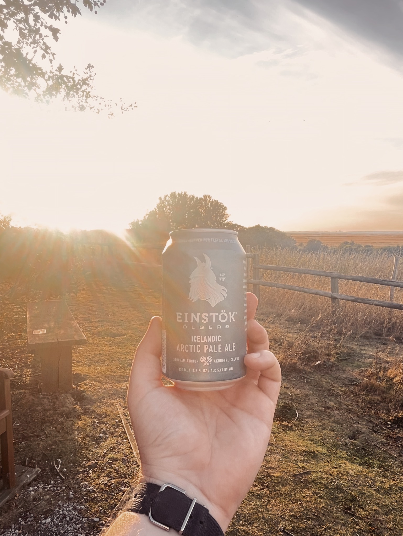 Icelandic Arctic Lager, Iceland