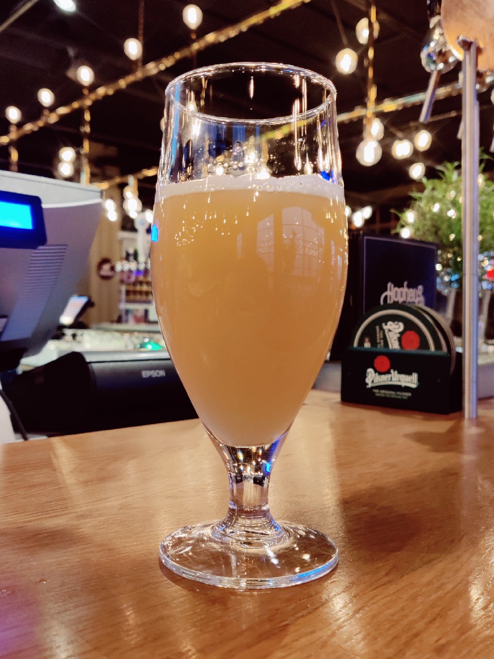 Citraplus1: Nelson Sauvin, Canada