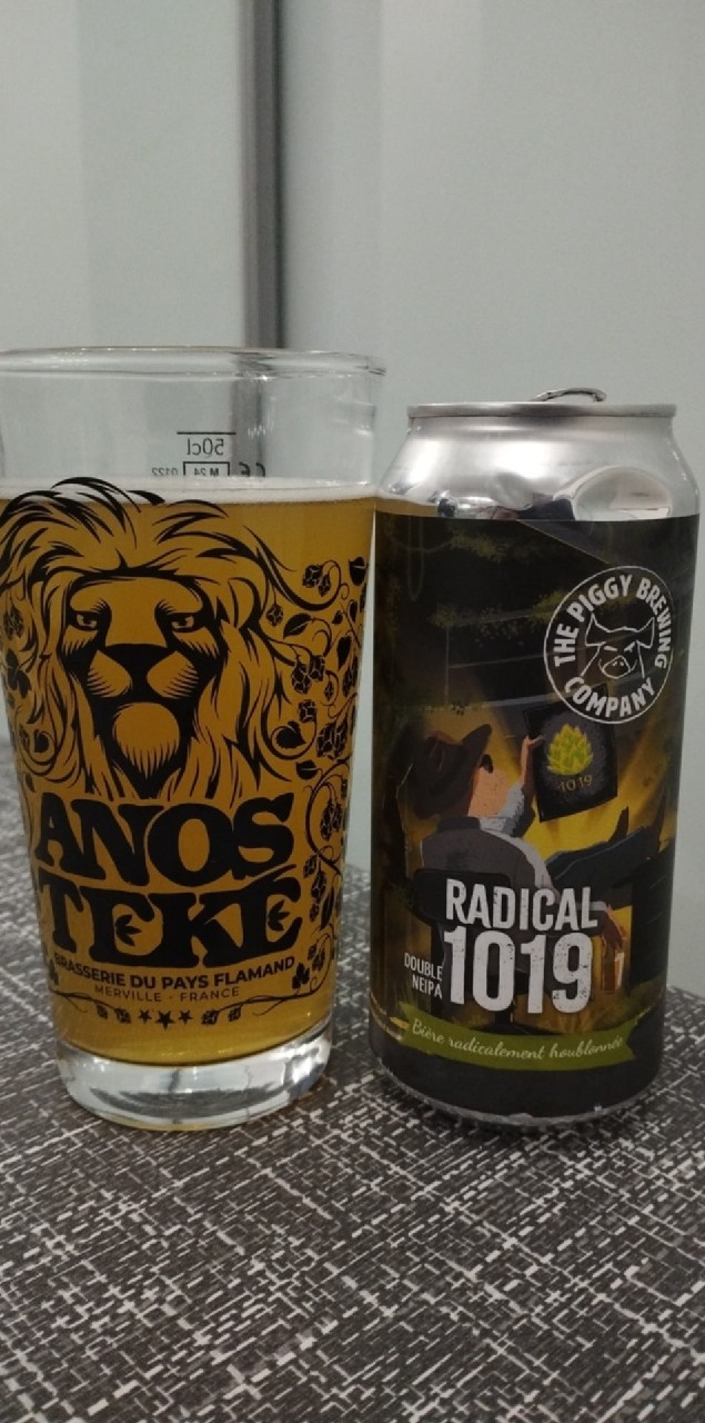 Radical 1019, France