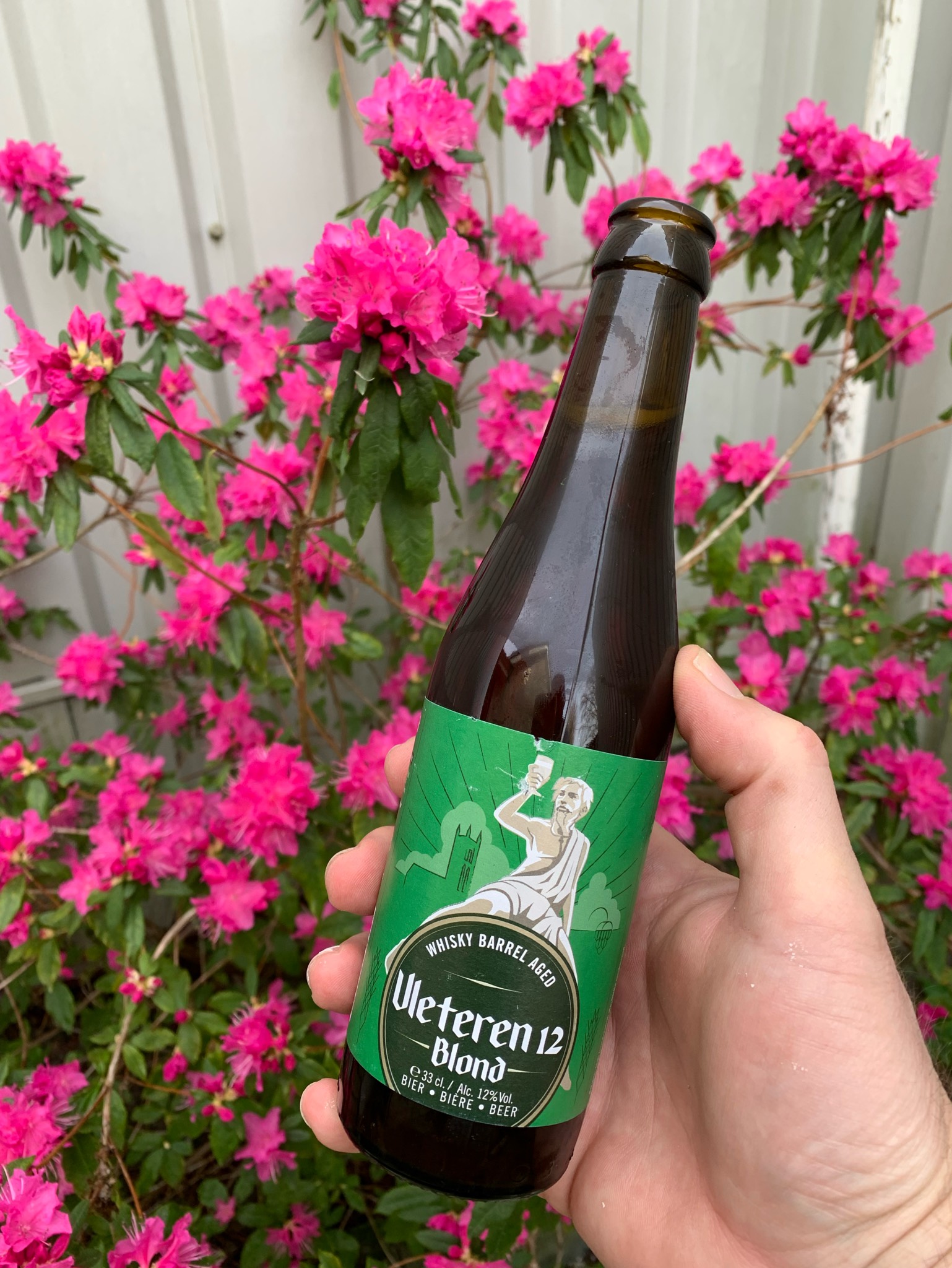 Vleteren Blond 12°, Belgium