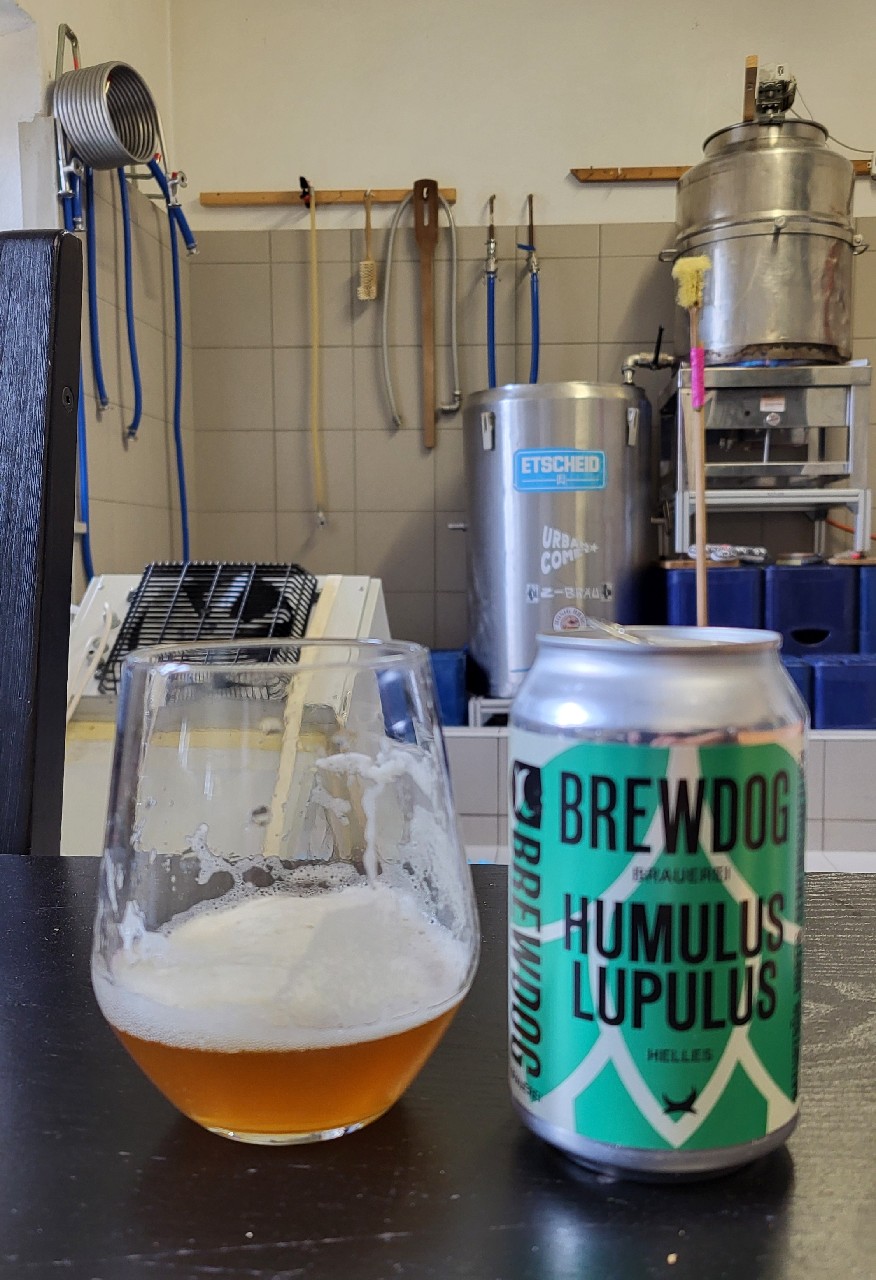 HUMULUS LUPULUS, Germany