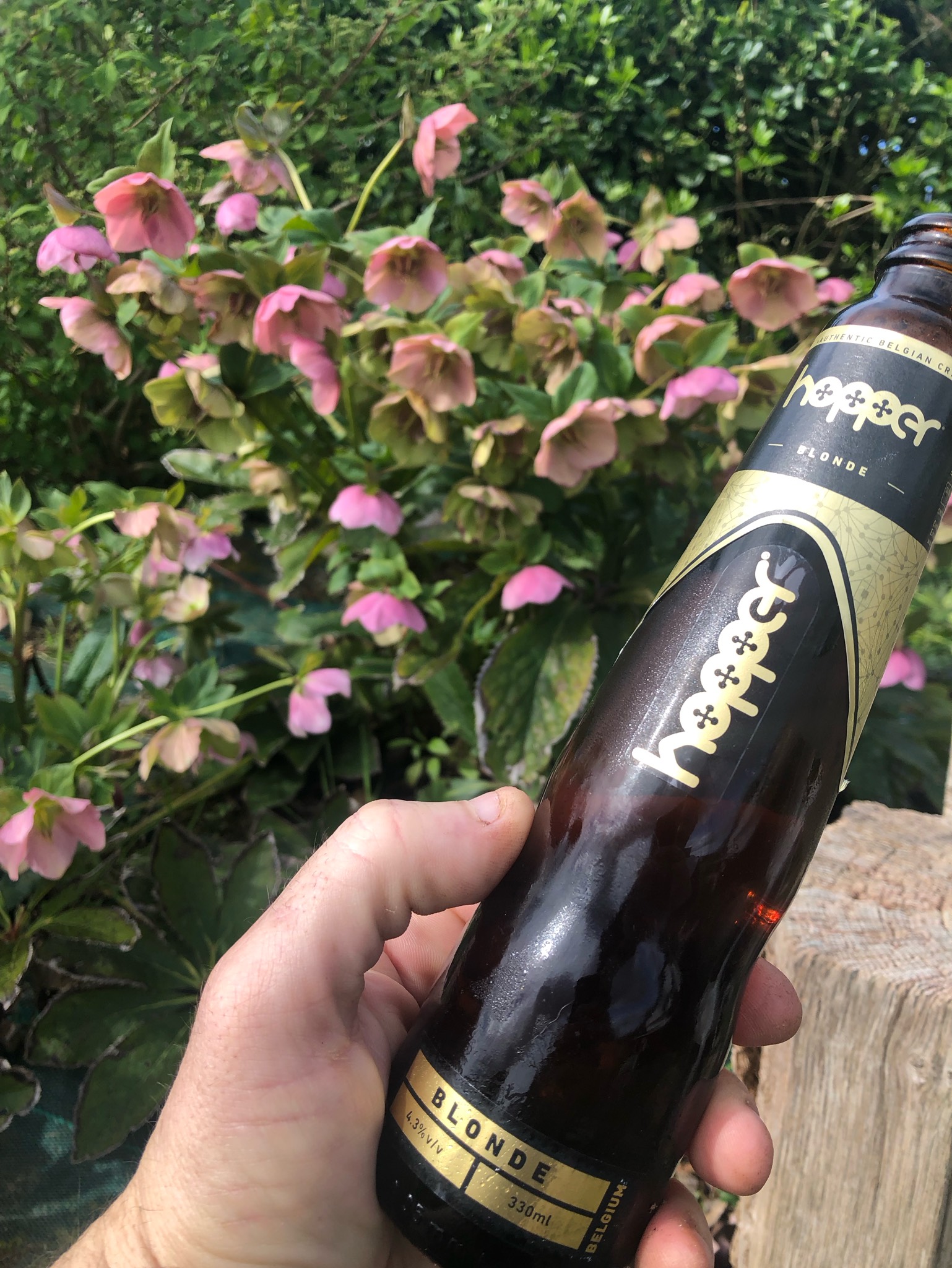 Hopper Blonde, Belgium