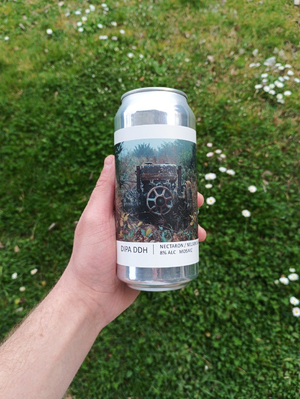 DIPA DDH Nectaron / Nelson Sauvin / Mosaic, France