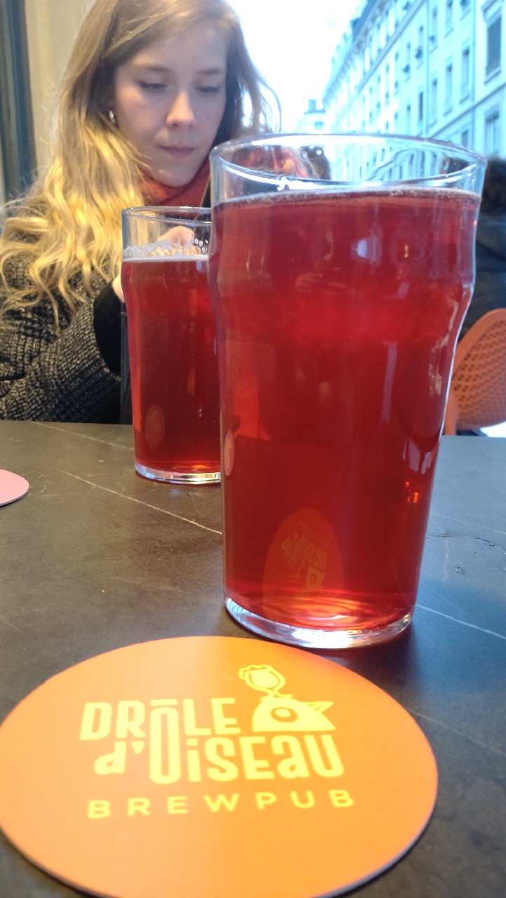 Sour tonka griotte, Drôle D'Oiseau