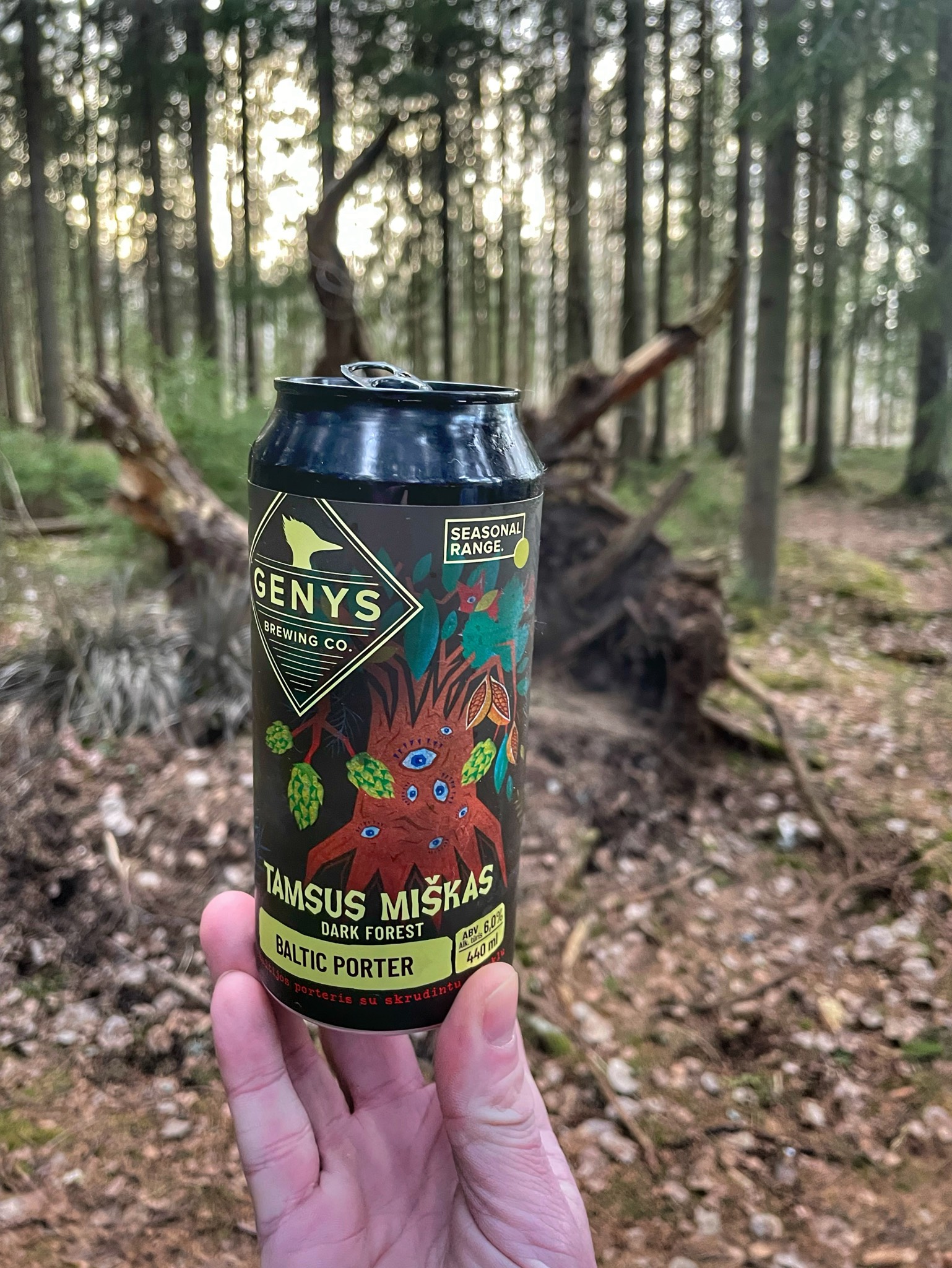 Tamsus Miškas / Dark Forest, Lithuania