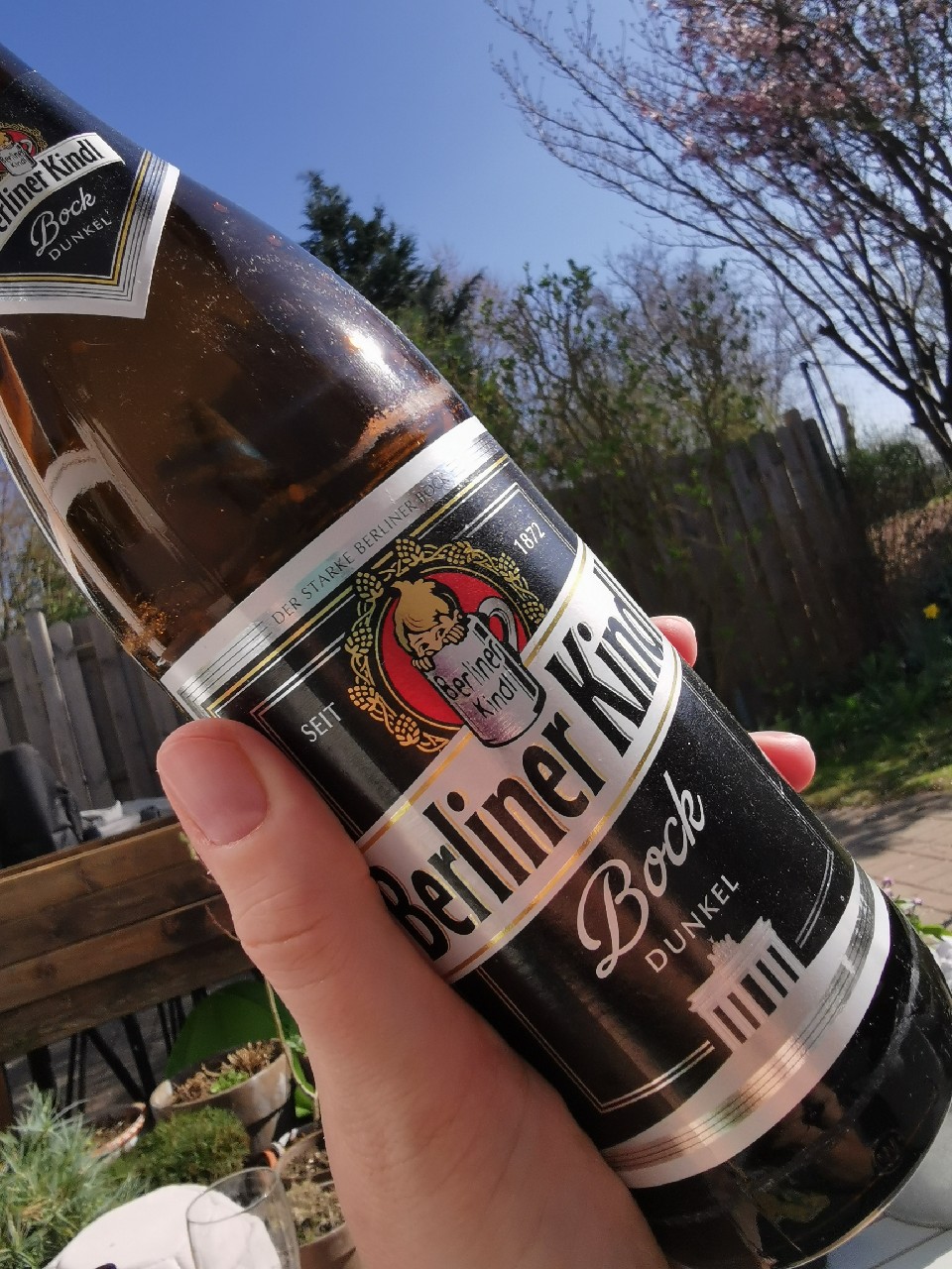 Berliner Kindl Bock Dunkel, Germany