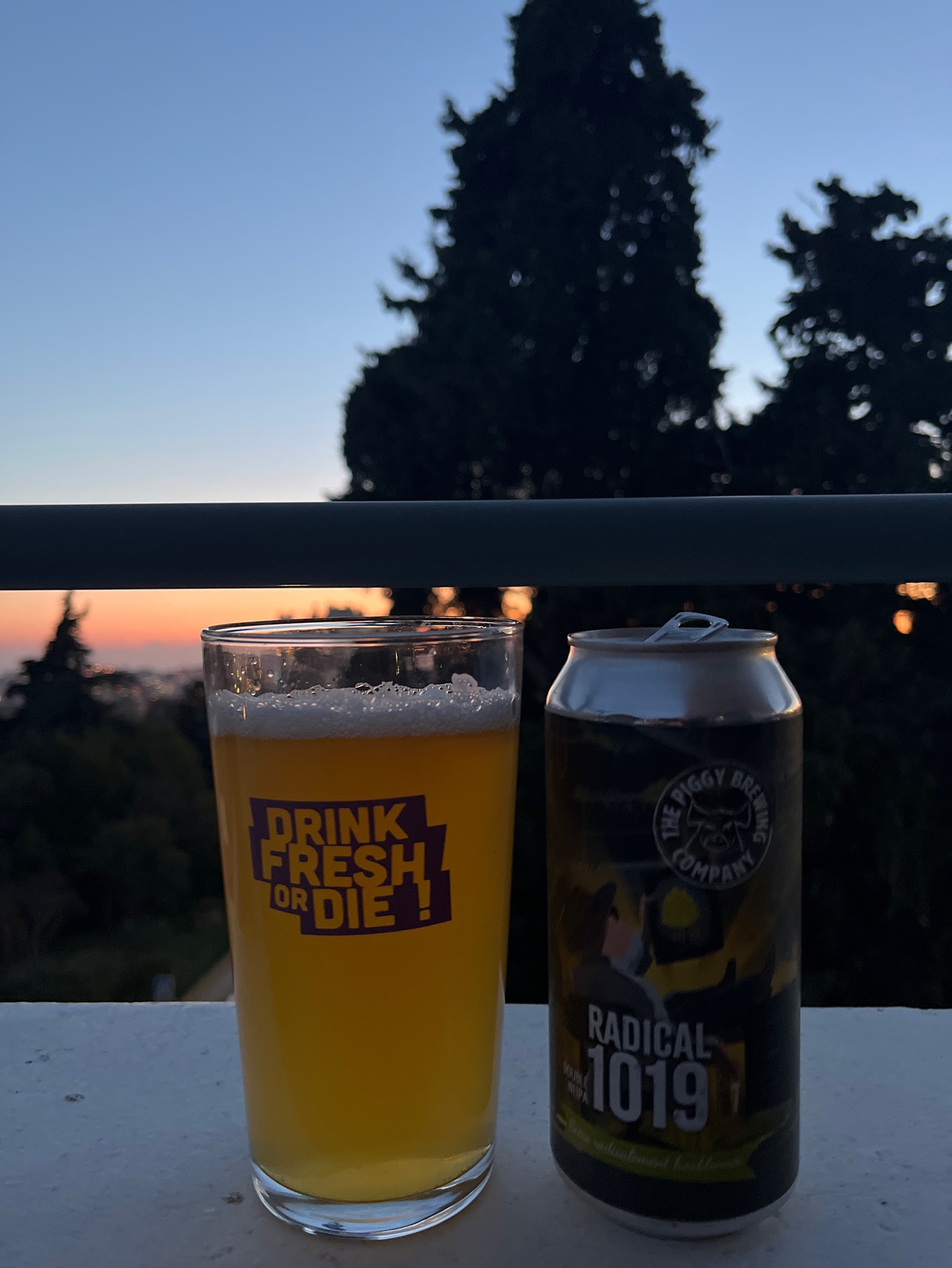 Radical 1019, France