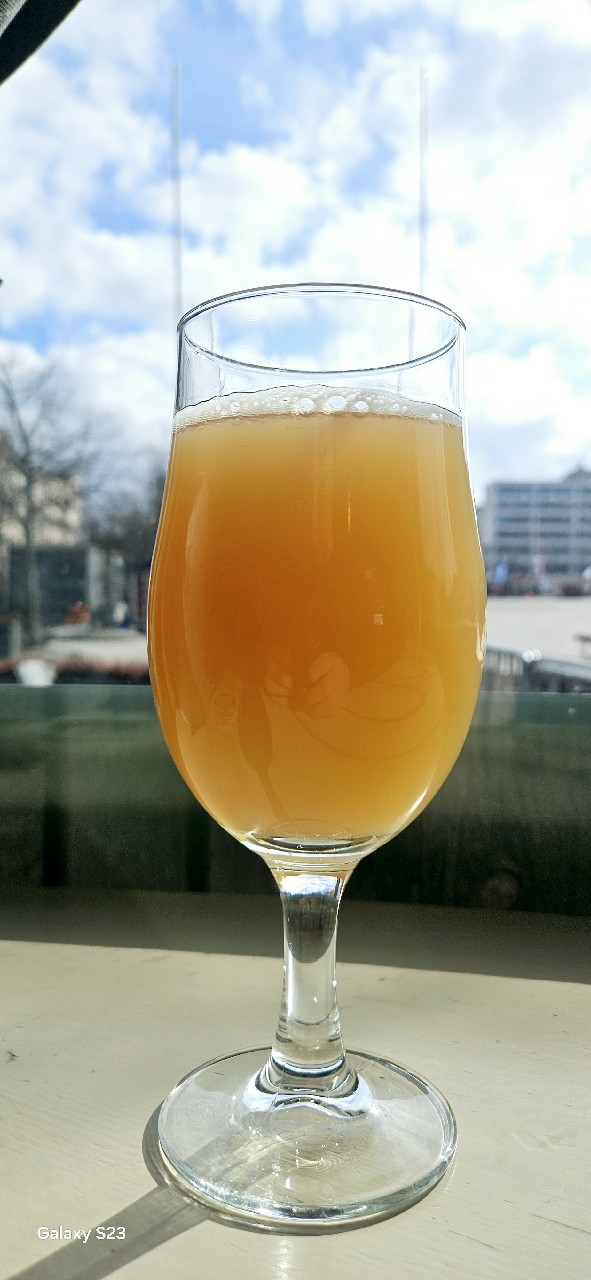 Patrons Project 41.05 // Bobbi Abbey // Evil Eye // Tripping Animals, England