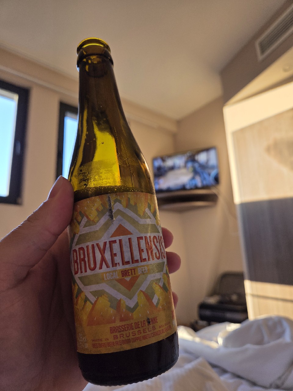 Bruxellensis, Belgium