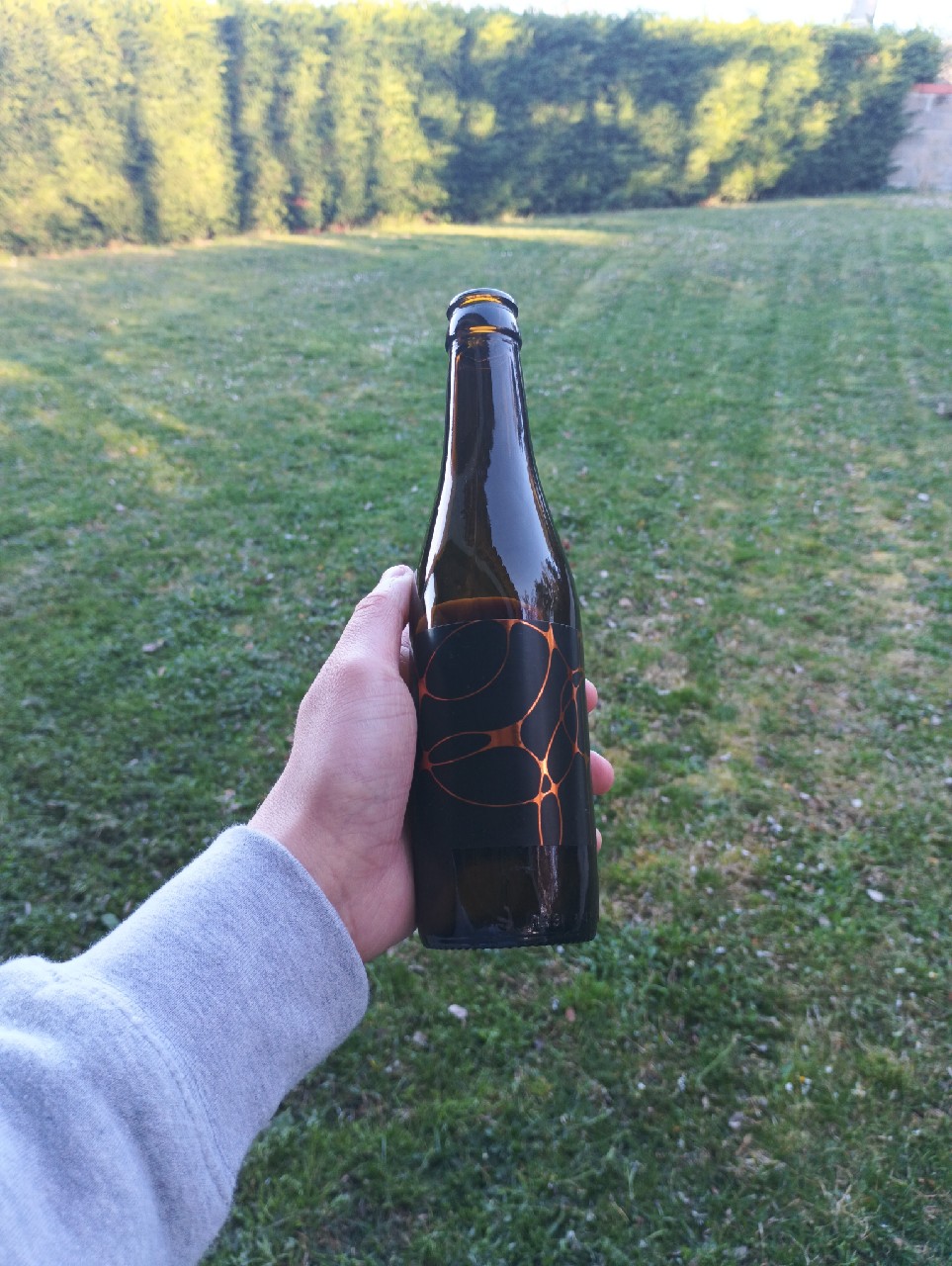 Divine Comédie - Amarone Édition, France