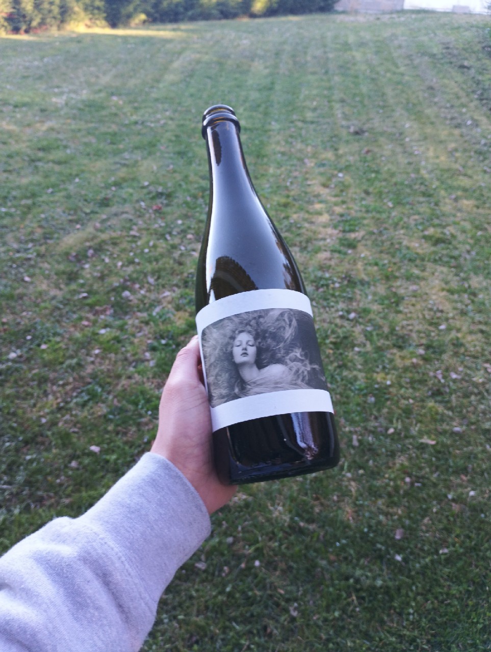 Sauvages - Vieille Chablisienne 2023, France