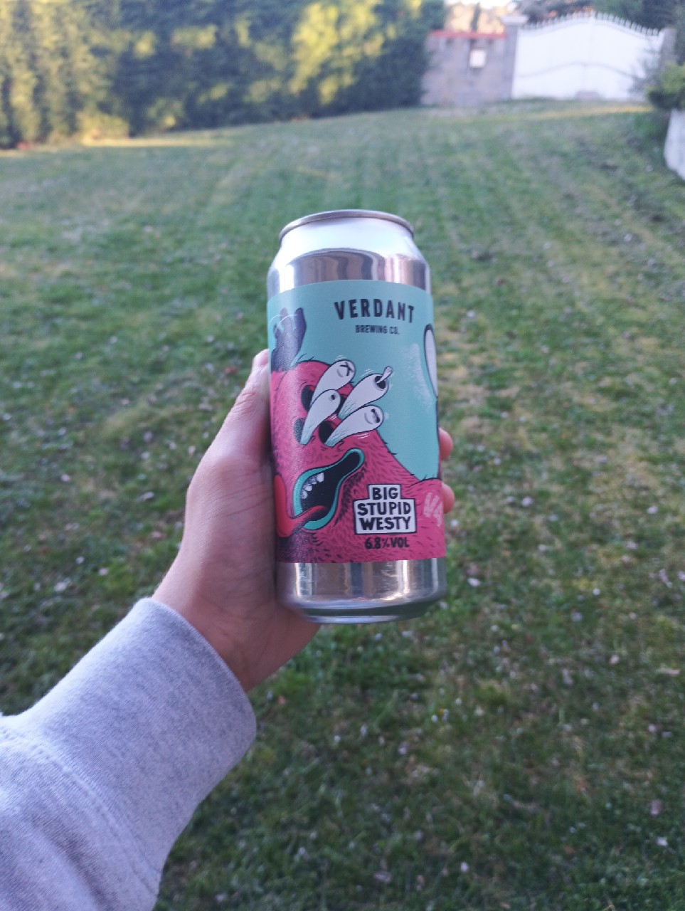 Big Stupid Westy V4, England