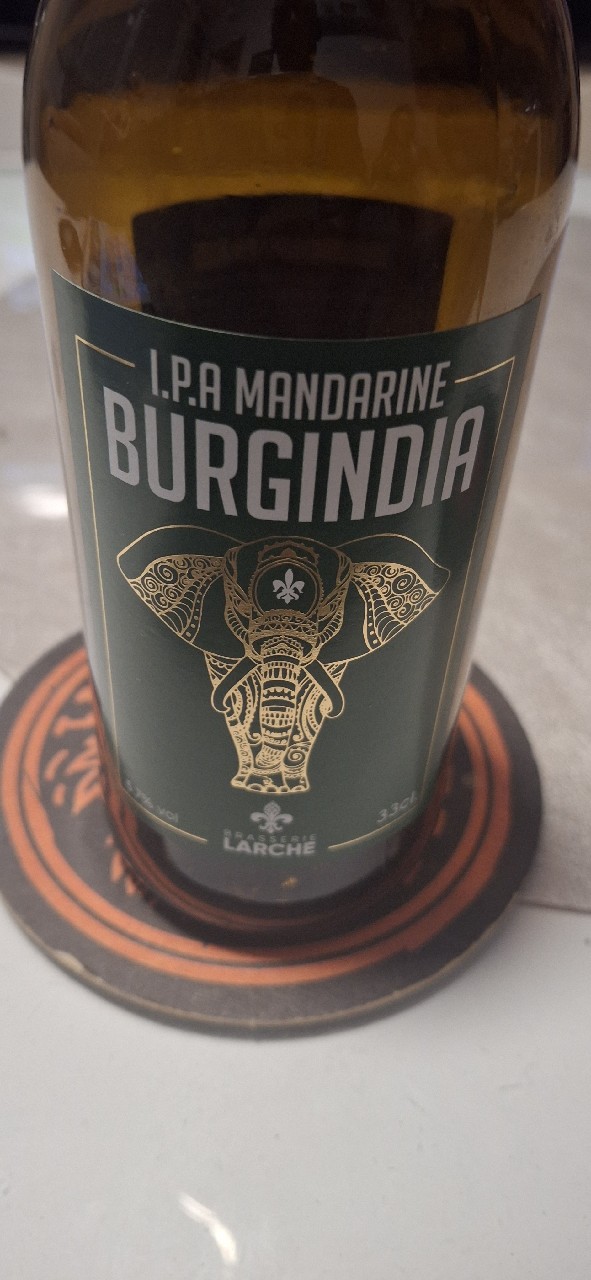Burgindia IPA Mandarine, France