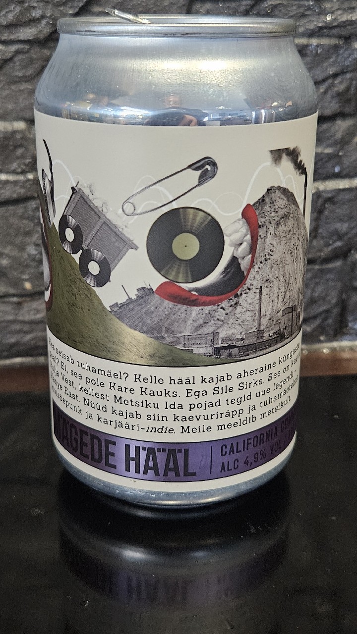 Mägede Hääl, Estonia