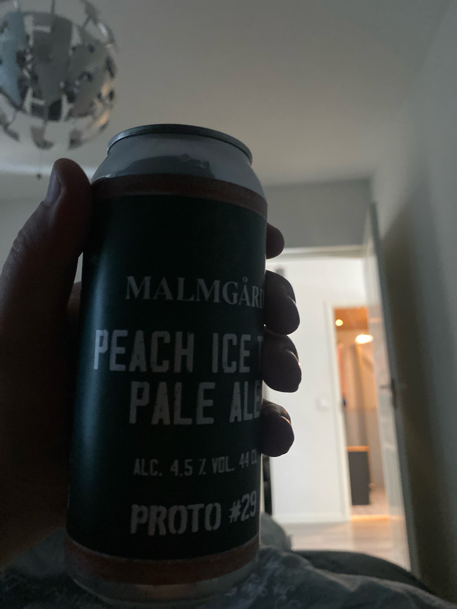 Proto #29 Peach Ice Tea Pale Ale, Finland