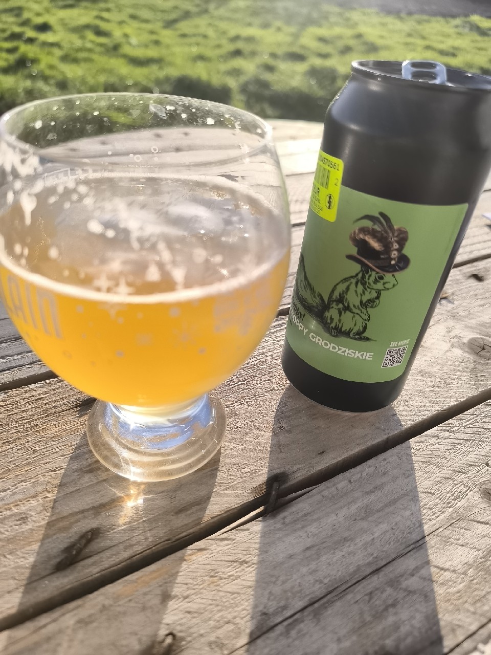 Modern Grodziskie, Poland