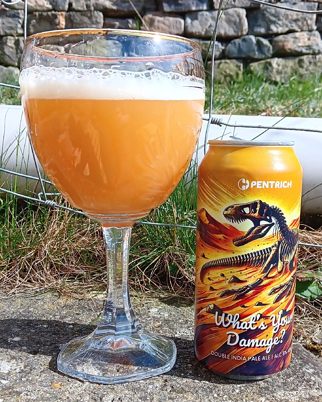 What's Your Damage?, England