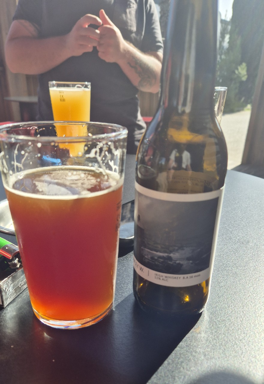 Pays Flamand X Het Anker - Barley W, France