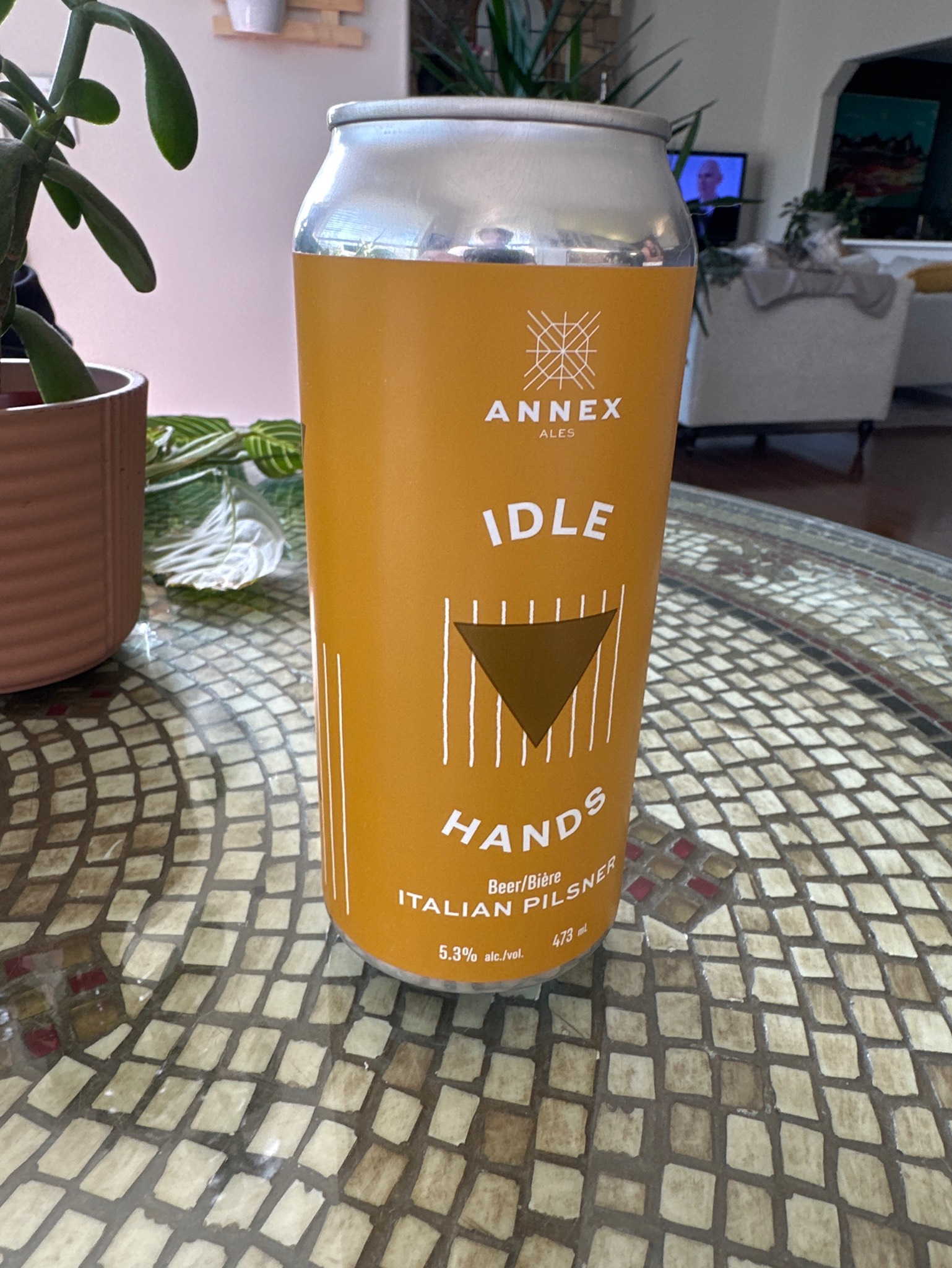 Idle Hands, annex ale project
