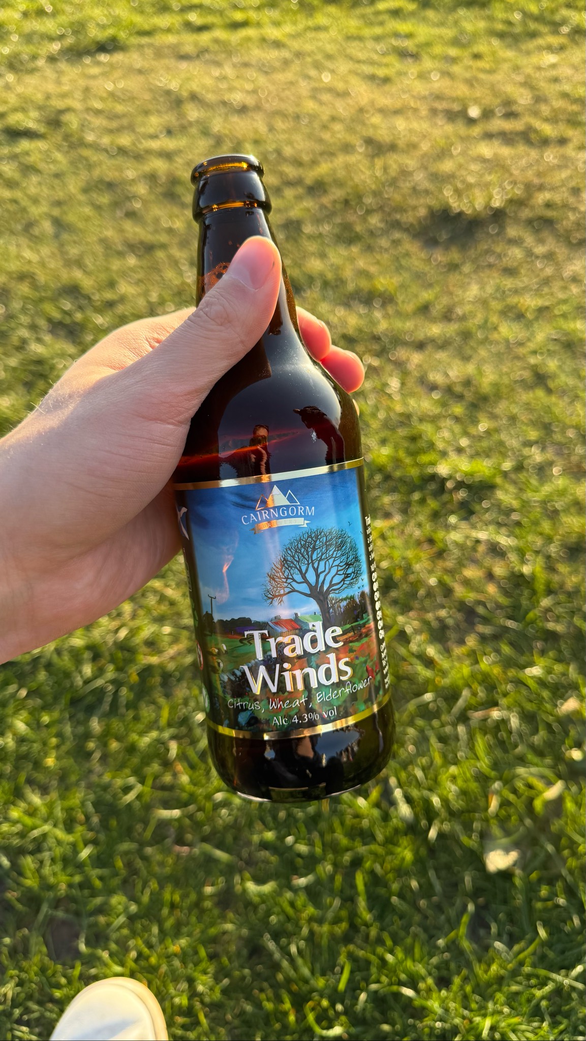 Trade Winds, Scotland