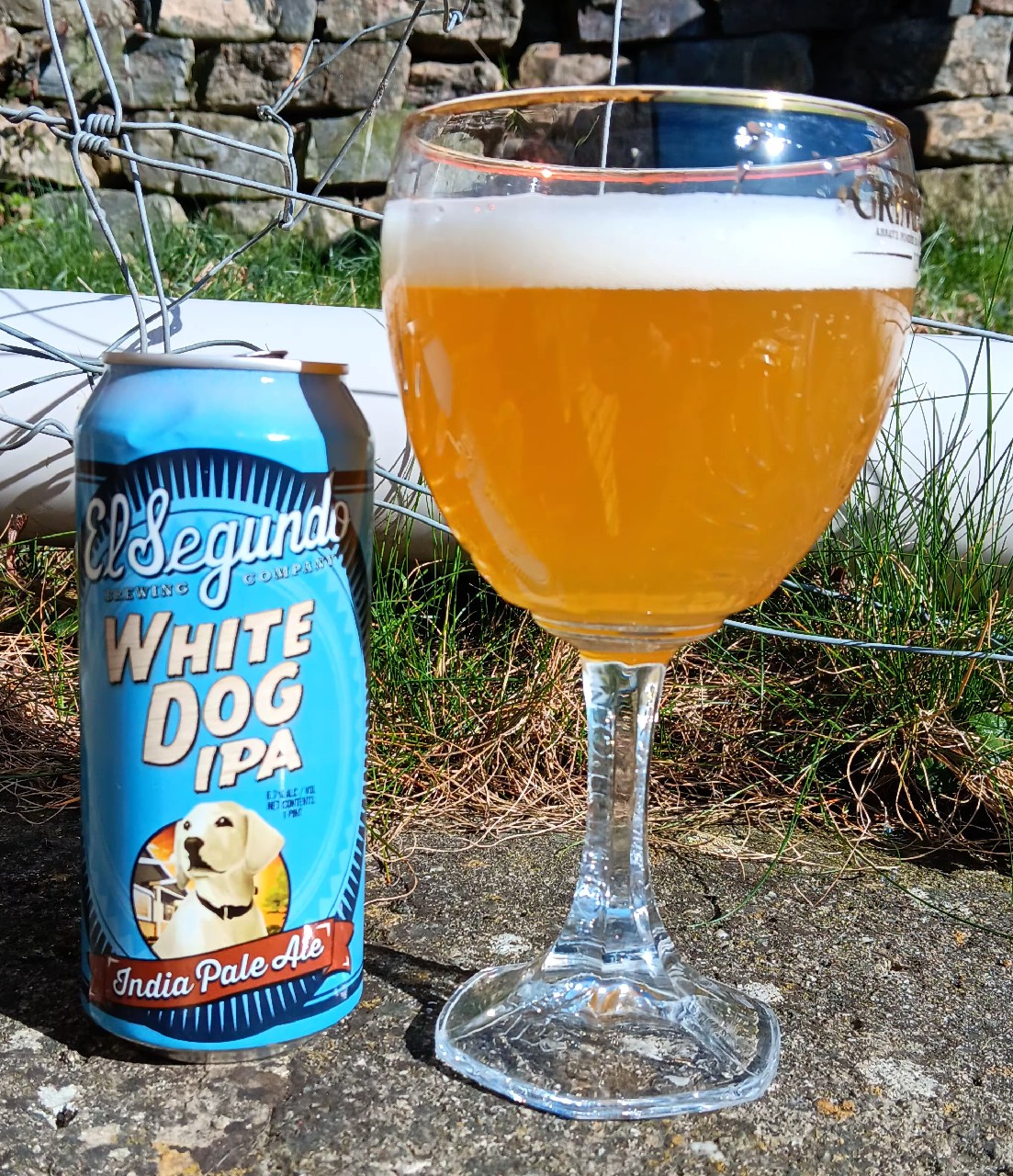 white dog IPA, El Segundo Brewing Company