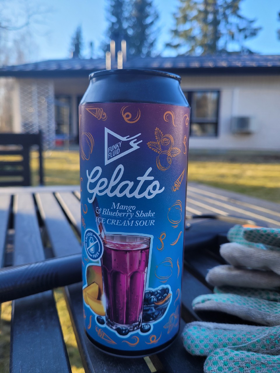 Gelato: Mango & Blueberry Shake, Poland