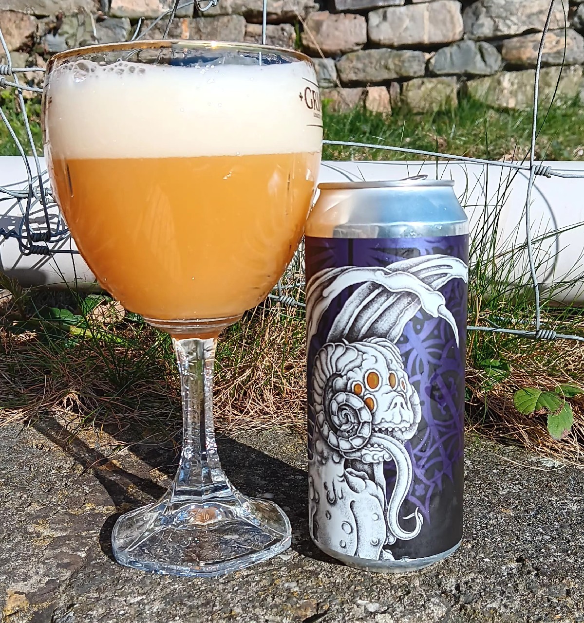 DDH Eviscerated Pathway of Beauty, United States