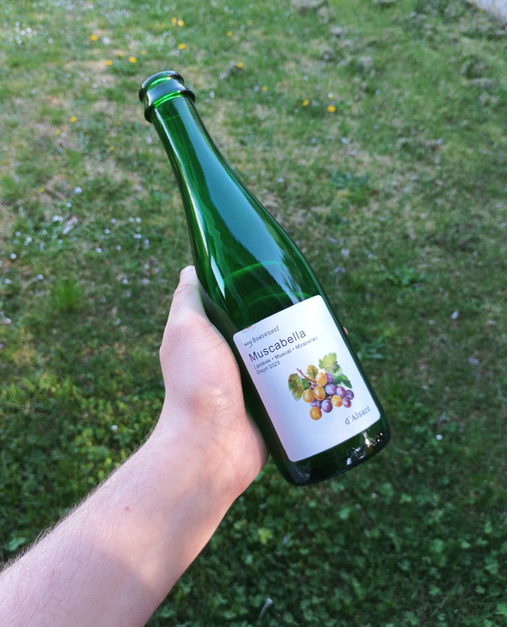 Muscabella - Oogst 2023, Belgium