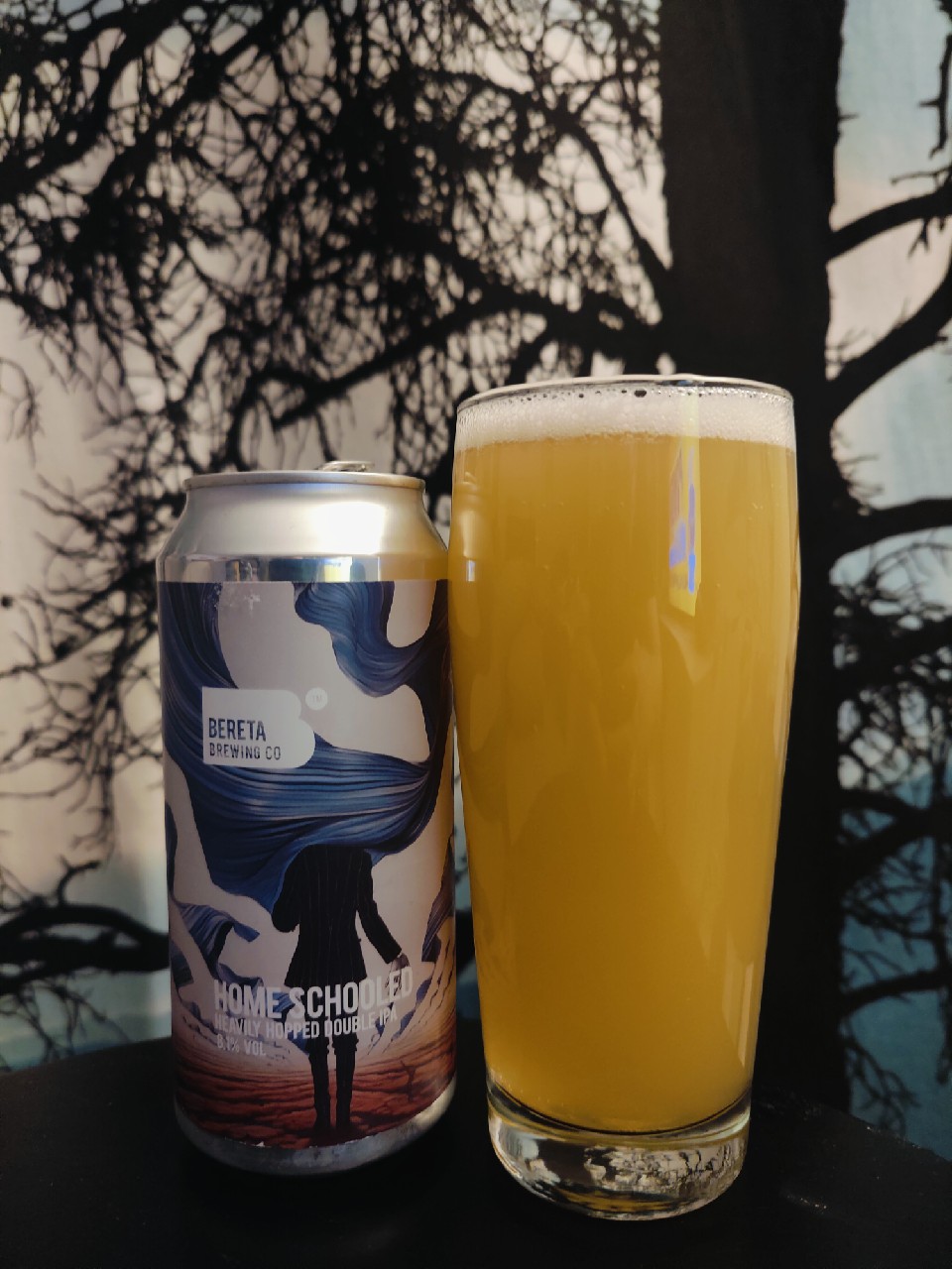 Home Schooled, Romania