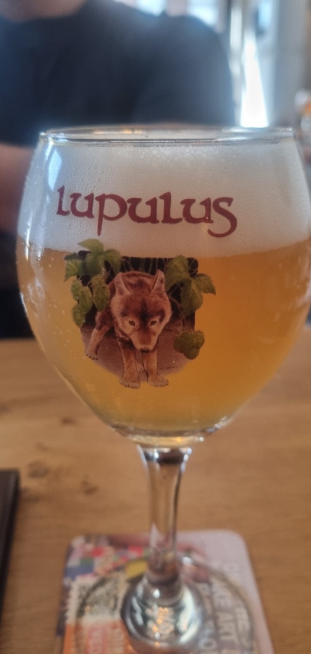 lupulus dry hop nelson sauvin 2025, Belgium
