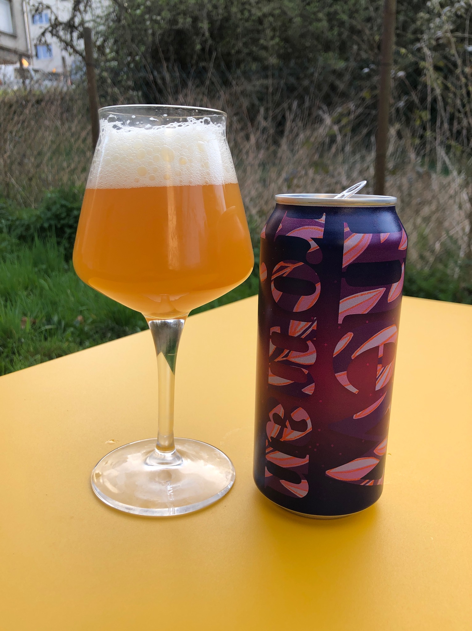 Times New Roman, France