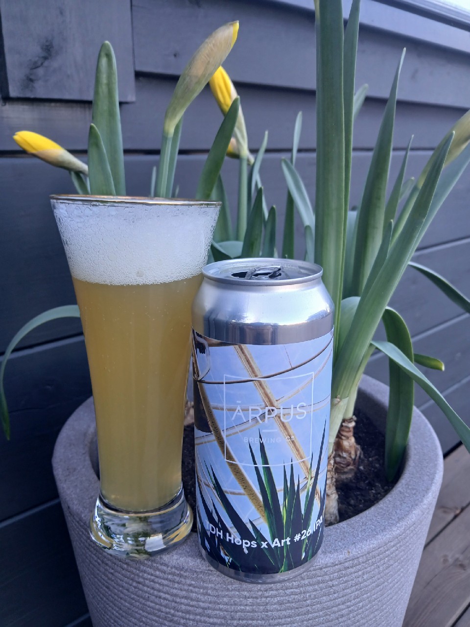 tdh hops x art #26, Latvia