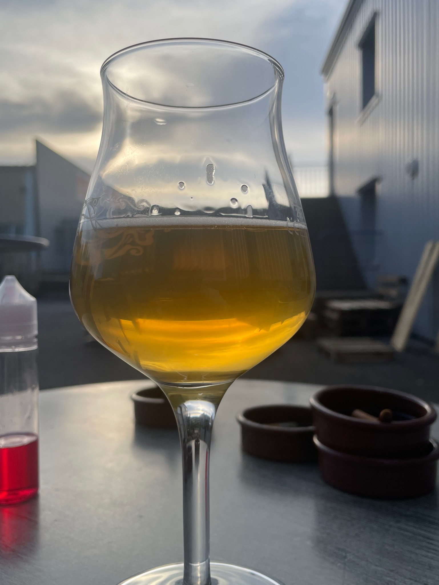 Atlantic Blanche Des Gabariers, France