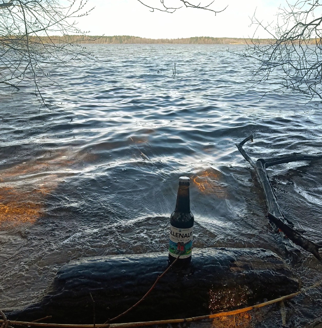 Van Der Mölder, Estonia