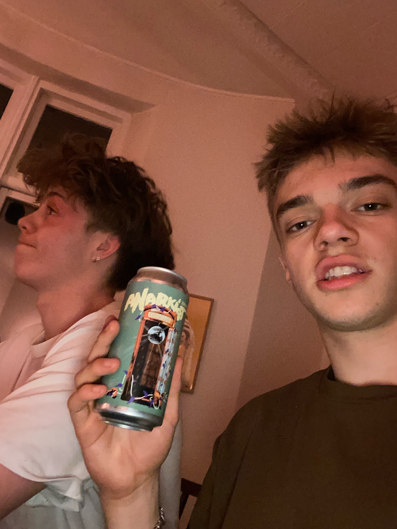 Anarkist czech style lager, Denmark