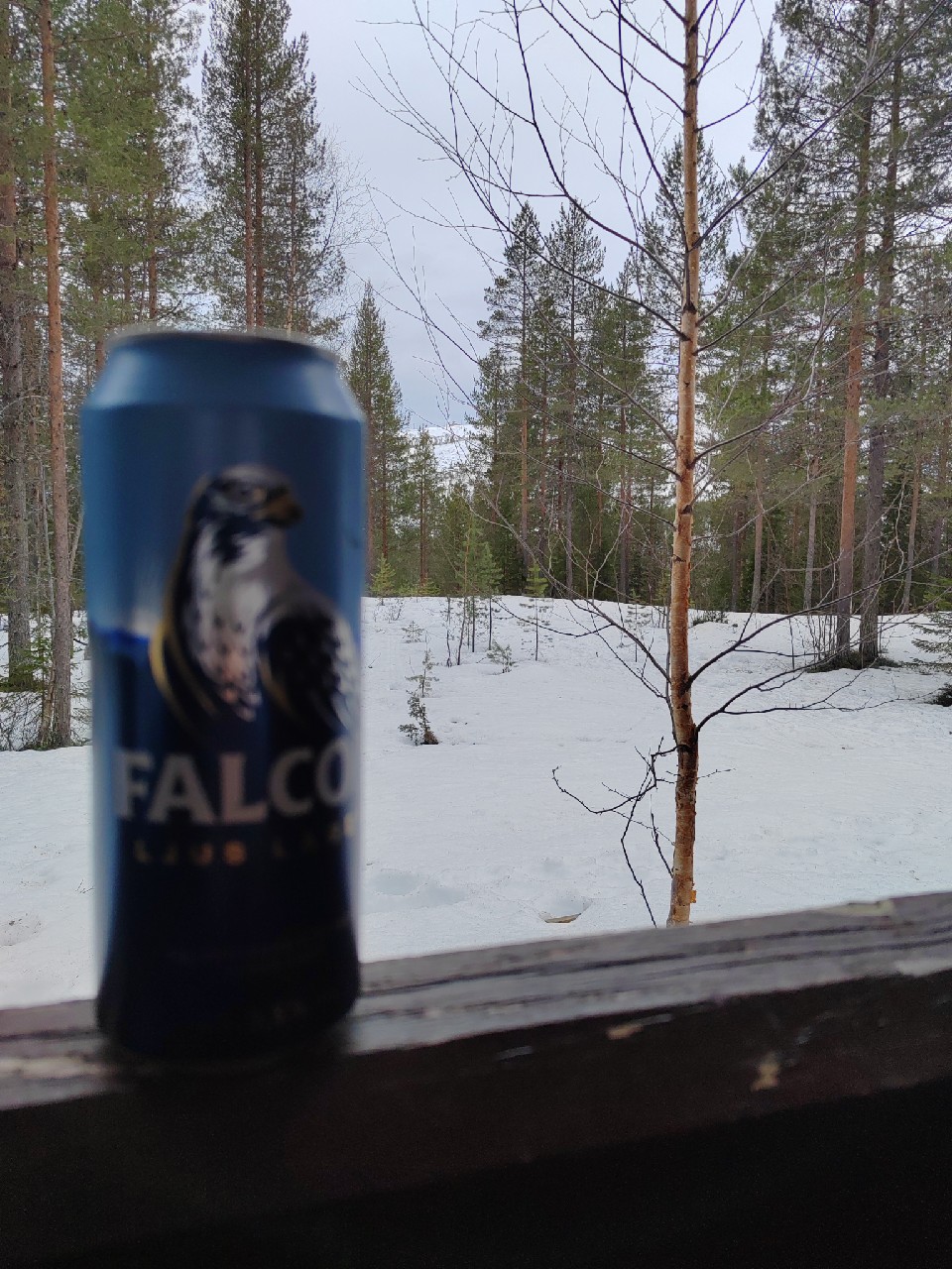 Falcon Extra Brew 3.5%, Sweden