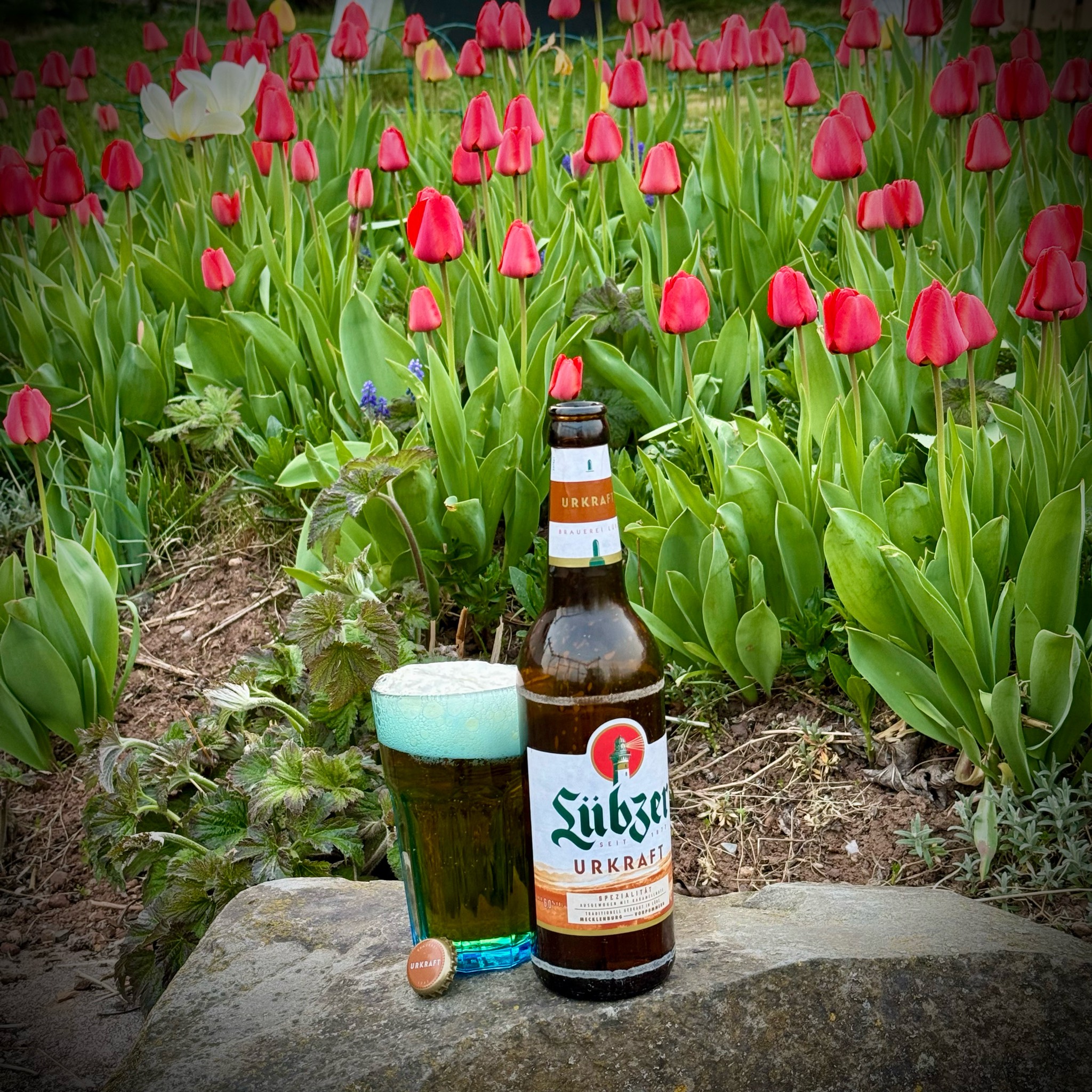 Lübzer Urkraft, Germany