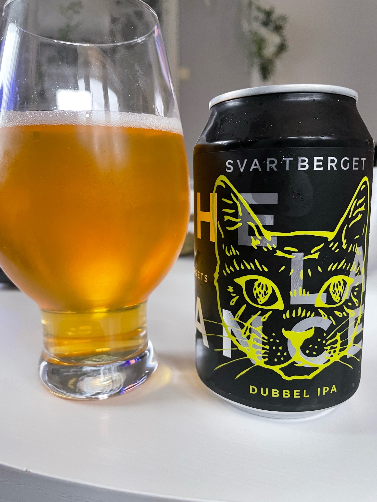 The Last Dance, Sweden