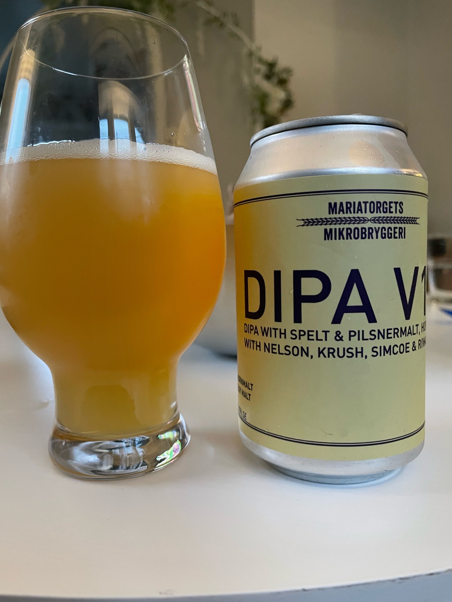 DIPA v14, Mariatorgets Mikrobryggeri