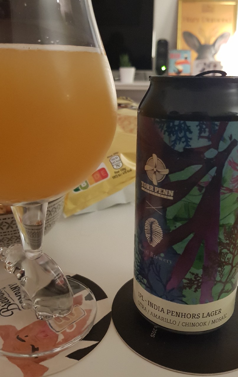 IPL - India Penhors Lager Torr penn x Kauri, France