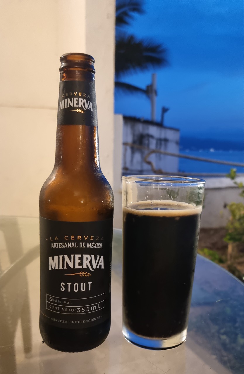Minerva Stout, Mexico