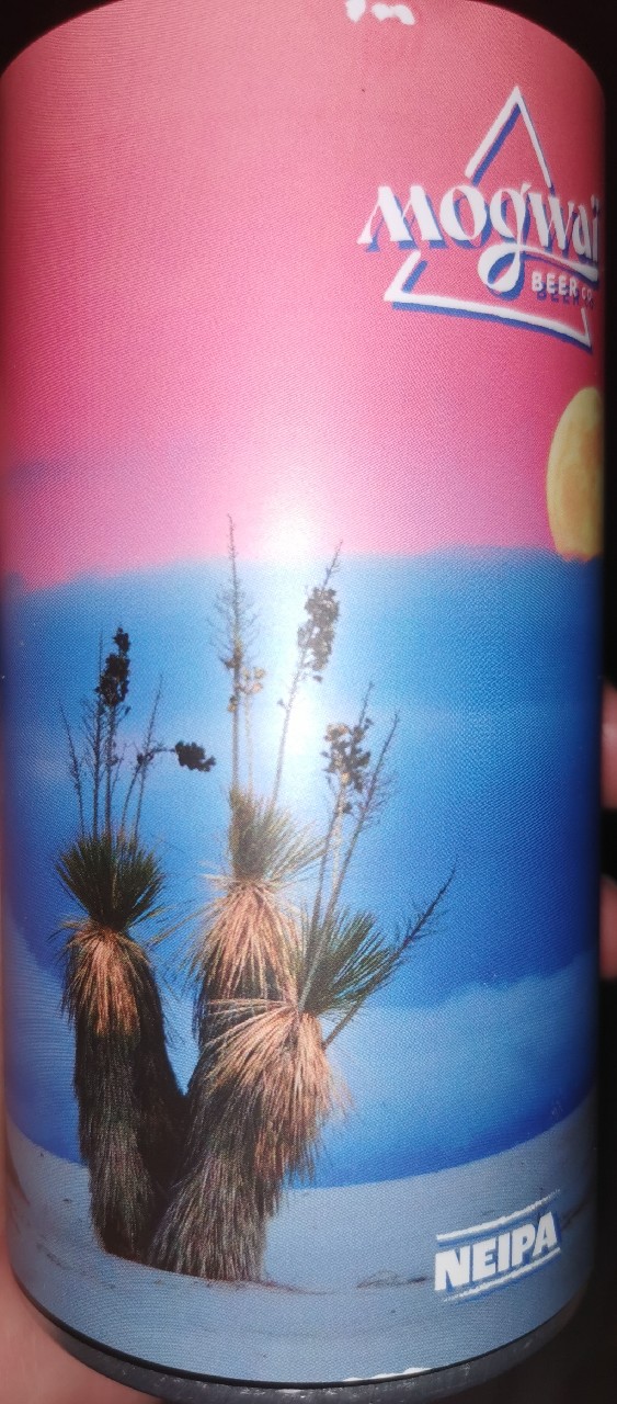 No Plot, Just Vibes, France