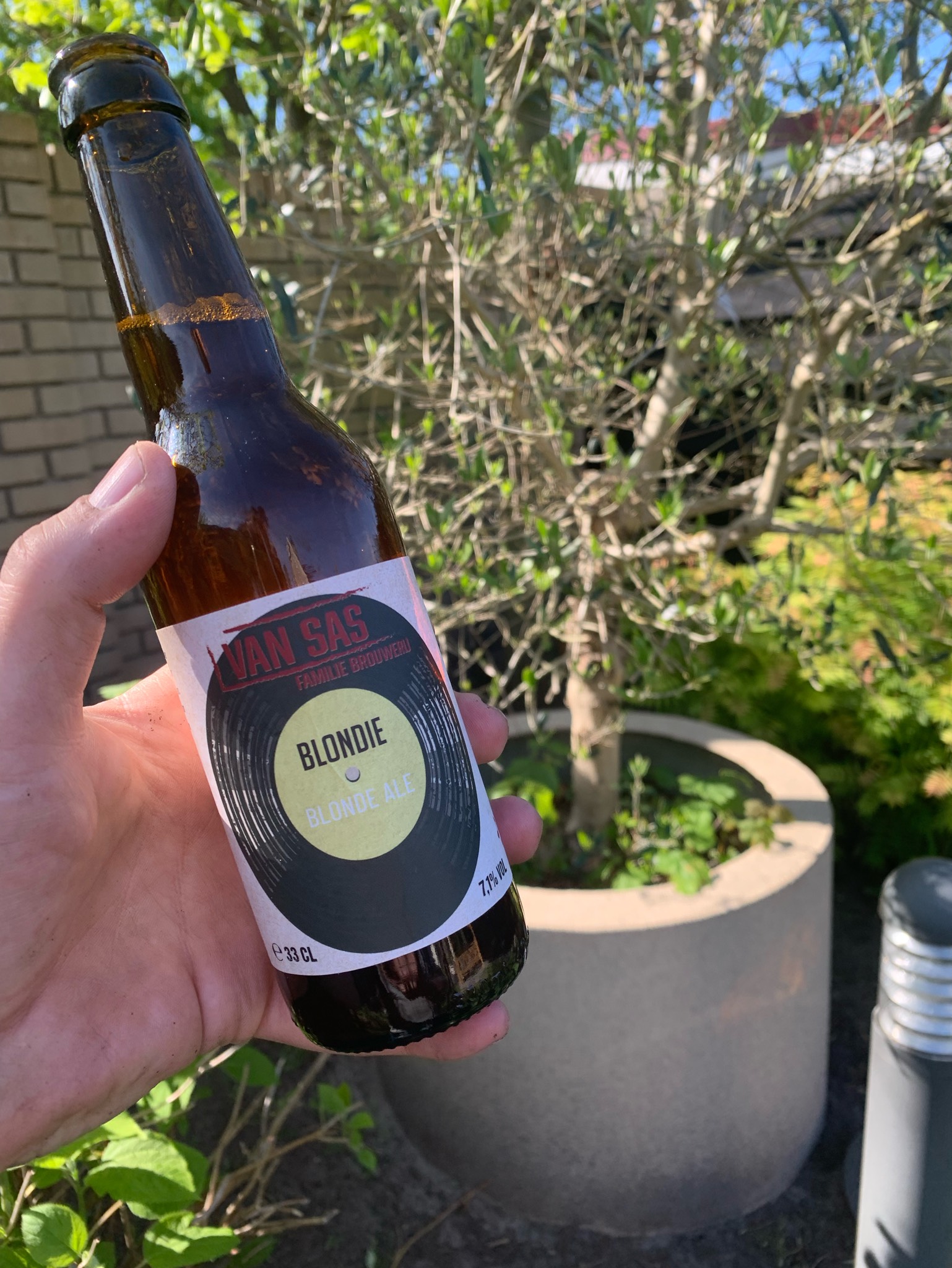 Blondie, Familiebrouwerij Van Sas