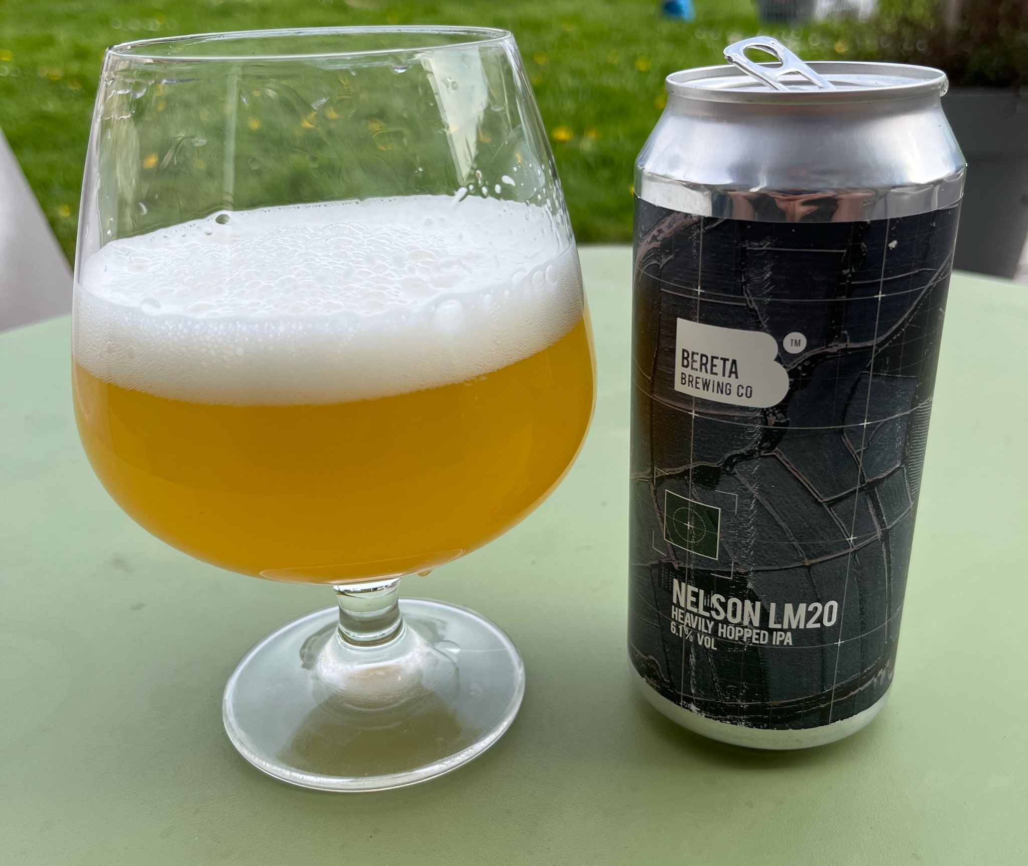 Nelson LM20, Romania